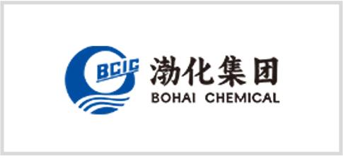 天津渤化 logo
