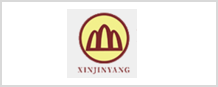 新金洋 logo